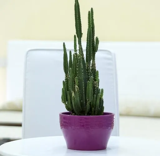 Palazzo Ruffo Di Bagnara Alojamento de Acomodação e Pequeno-almoço 2*